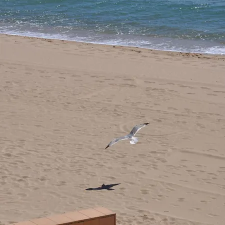Διαμέρισμα 1216 Thalassa Estudio - Apivend Immo *